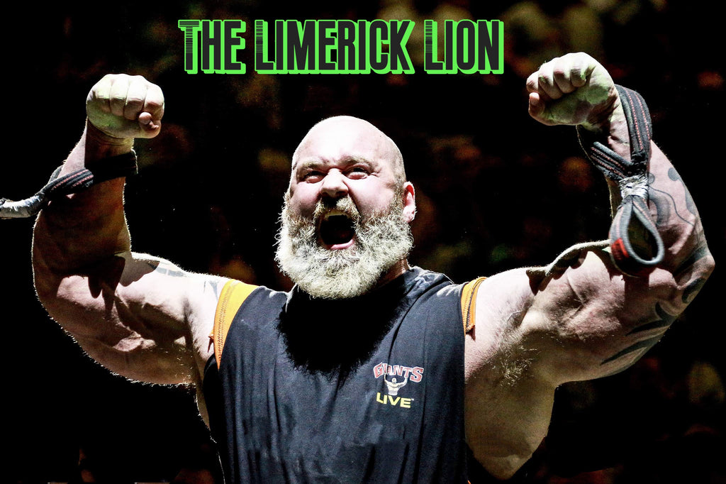 Limerick Lion Roar Poster